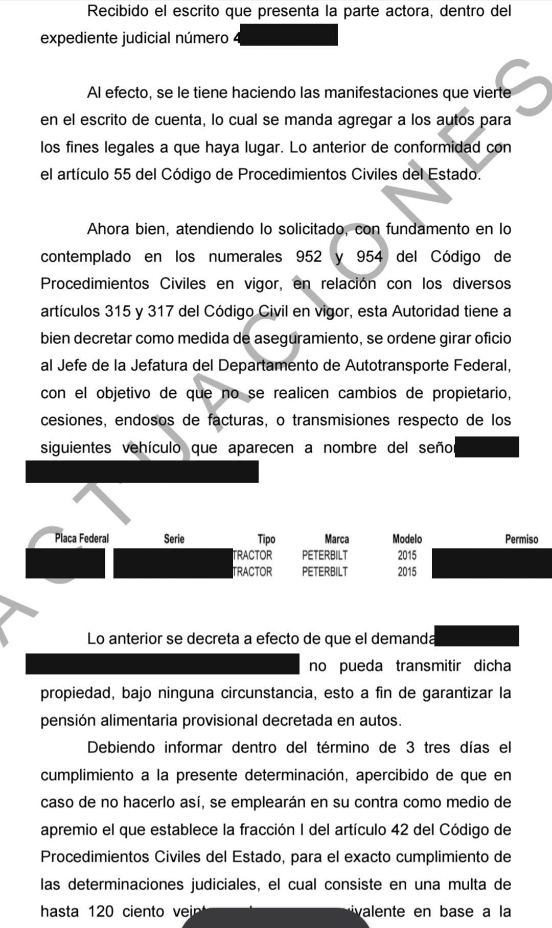 Oficio judicial para impedir la transmisión de bienes de un deudor alimentario